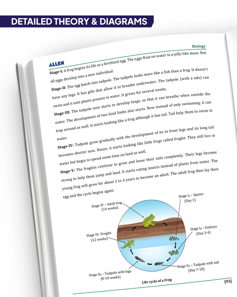 ALLEN Class 6 NCERT All-in-One Study Material Package - 9 Multicolor M ...