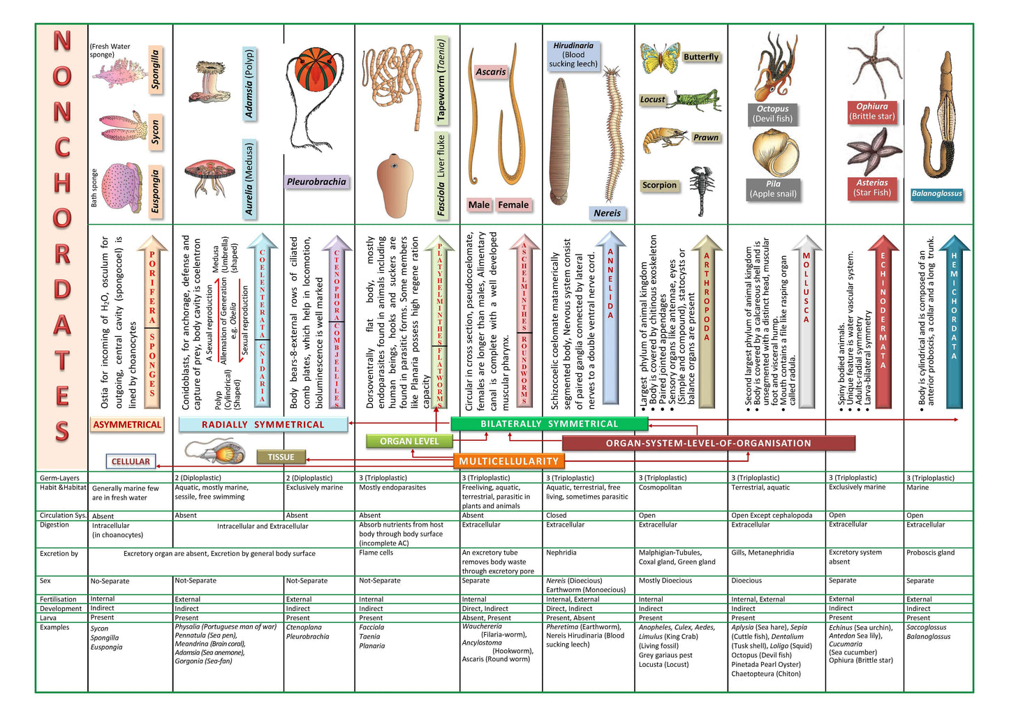 ALLEN NEET-UG Study Material Package for 11th, 12th & 12th Passed with Solutions (Set of 24 Modules)