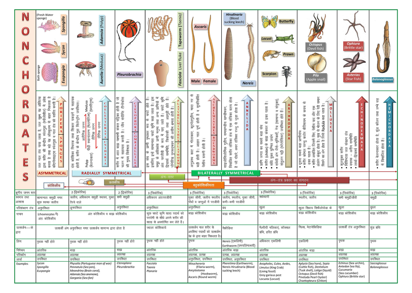 ALLEN NEET-UG Study Material Package for 11th, 12th & 12th Passed with Solutions (Set of 24 Modules)