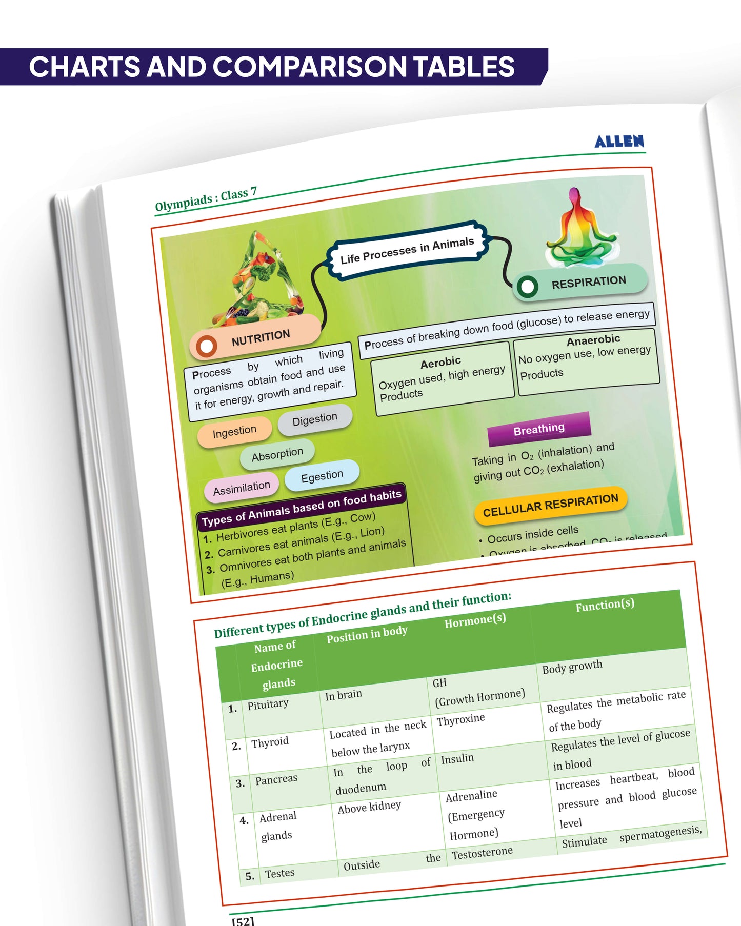 ALLEN Class 7 All-in-One Olympiad Study Material Package -9 Multicolor Modules Covering 7 Core Subjects | Physics, Chemistry, Biology, Maths, Social Science, English & Mental ability