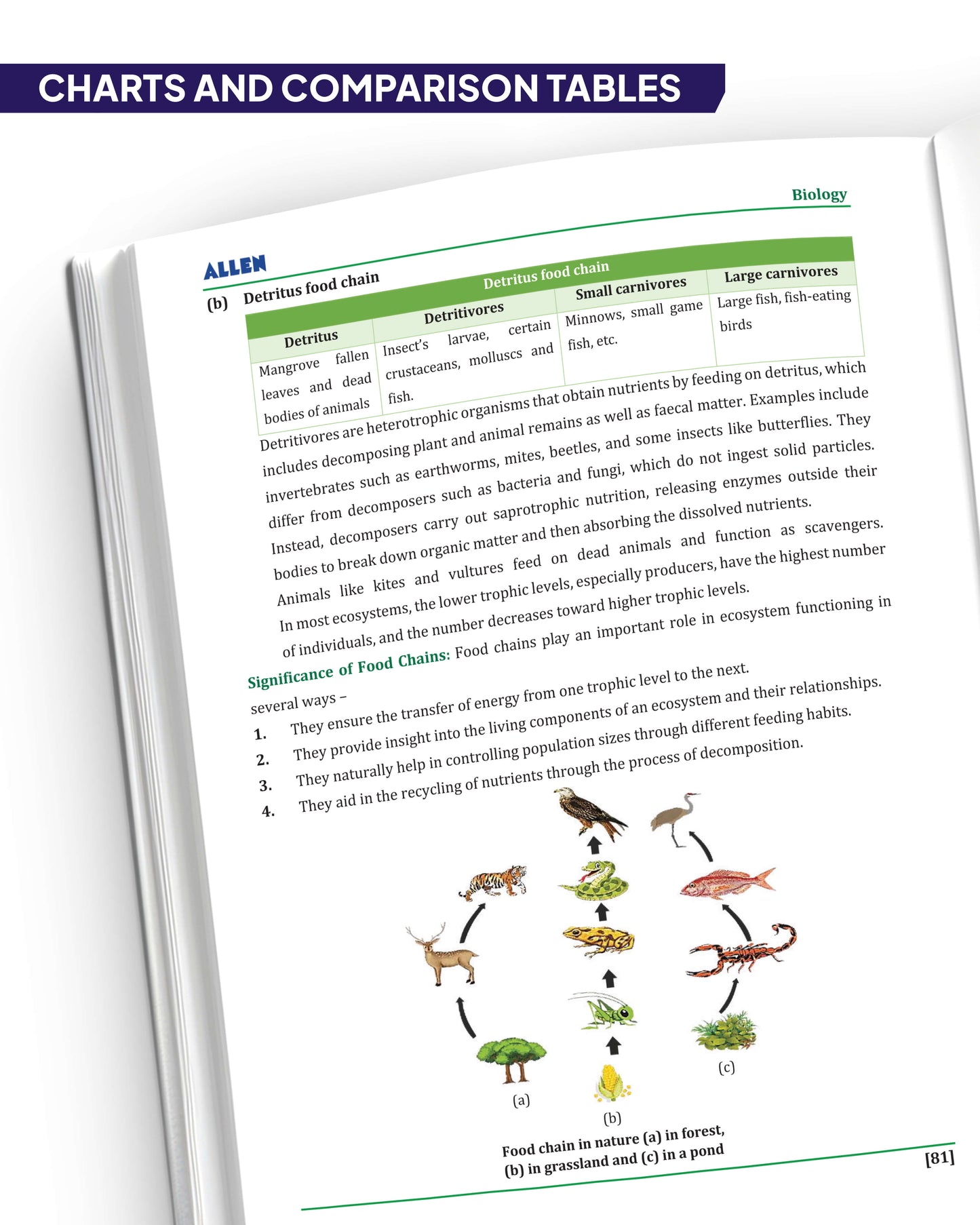 ALLEN Class 8 All-in-One Olympiad Study Material Package -9 Multicolor Modules Covering 7 Core Subjects | Physics, Chemistry, Biology, Maths, Social Science, English & Mental ability