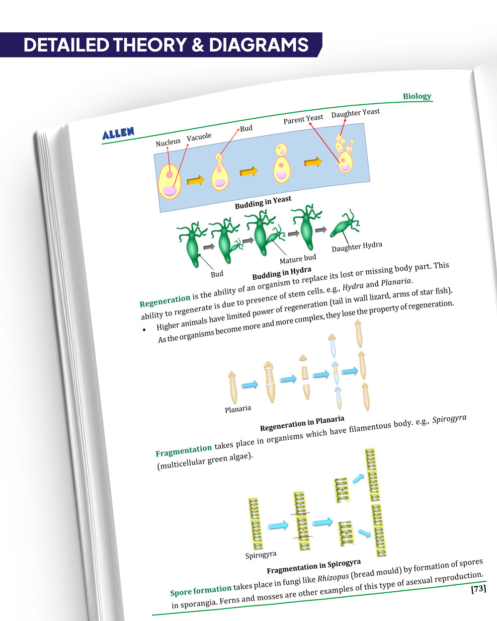 ALLEN Multicolor Modules for Class 8 Olympiad All-in-One Study Material ...