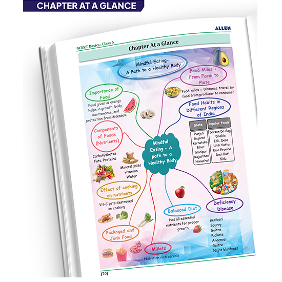 ALLEN Class 6 NCERT All-in-One Study Material Package-9 Multicolor Modules Covering 6 Core Subjects | Physics, Chemistry, Biology, Maths, Social Science & English