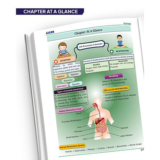 ALLEN Class 7 NCERT All-in-One Study Material Package-10 Multicolor Modules Covering 6 Core Subjects | Physics, Chemistry, Biology, Maths, Social Science & English