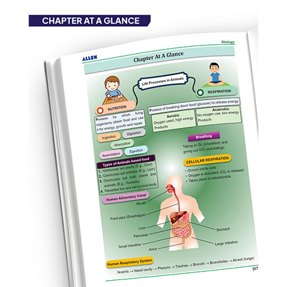 ALLEN Class 7 NCERT All-in-One Study Material Package-10 Multicolor Modules Covering 6 Core Subjects | Physics, Chemistry, Biology, Maths, Social Science & English